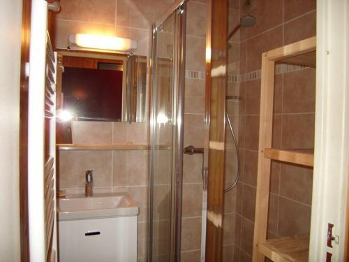 une salle de bain avec douche et lavabo dans l'établissement Studio-mezzanine 4 pers, animaux ok, parking, proche pistes et commerces - FR-1-733-114, à Crest-Voland