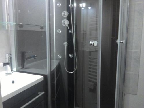 a shower with a glass door next to a sink at Studio Crest-Voland, 1 pièce, 4 personnes - FR-1-733-119 in Crest-Voland