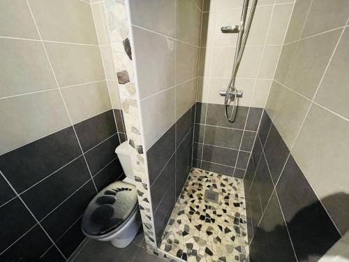 une salle de bain avec douche et toilettes dans l'établissement Studio rénové, calme, proche plage et commodités, parking inclus - FR-1-723-105, au Cap d'Agde