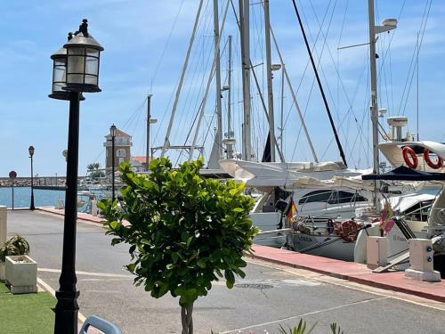 a tree in front of a marina with boats at Kailua Dream in Almerimar
