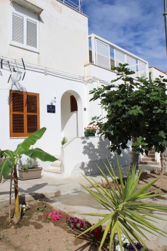 Zahrada ubytování B&B Marco Polo