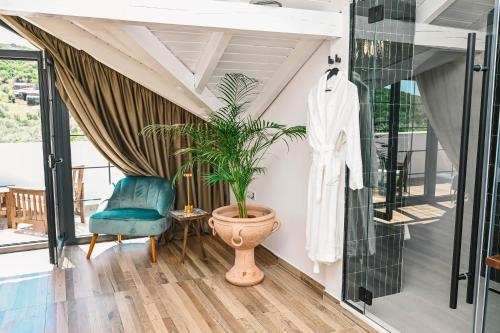 Fotografie z fotogalerie ubytování MASHTRA - The Olive House v destinaci Ulcinj