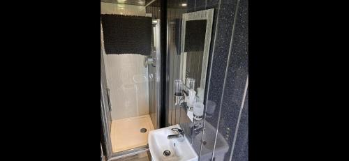 a bathroom with a white sink and a shower at D5 Rickardos Holiday Lets in Mablethorpe