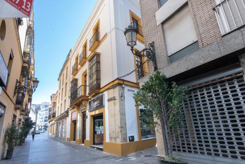 una calle con edificios y un árbol en una acera en Apartamentos Santa María 15, en Jerez de la Frontera