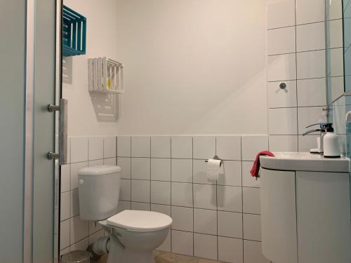 a bathroom with a toilet and a sink at Penzion U jezera in Konstantinovy Lázně