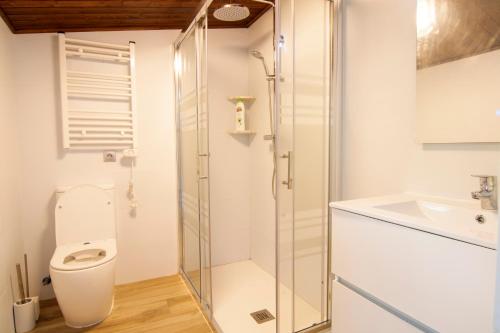 a bathroom with a shower and a toilet and a sink at La Lagunilla Golf in Candeleda
