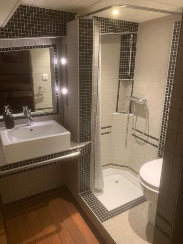 La salle de bains est pourvue d'un lavabo, d'une douche et de toilettes. dans l'établissement Péniche Odilia, à Avignon