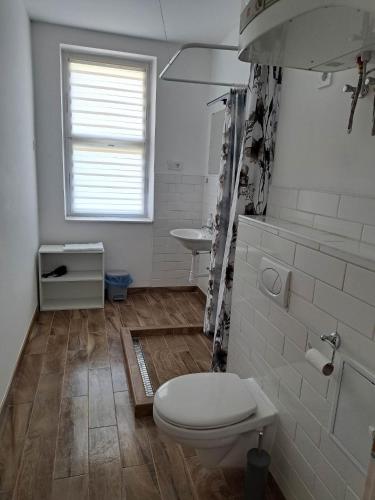 a bathroom with a toilet and a sink at Tarcal Apartman in Tarcal