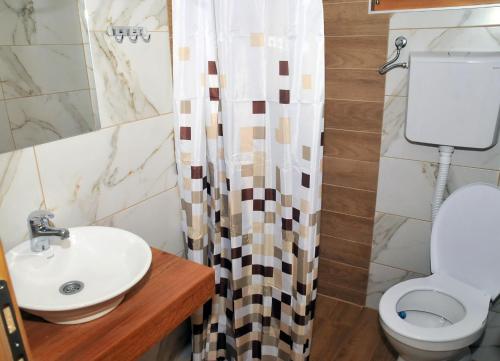 łazienka z umywalką i toaletą w obiekcie Milošev vajat - Miloš's cottage w mieście Mionica