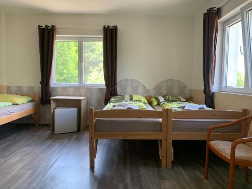 a bedroom with two beds and two windows at Penzion U jezera in Konstantinovy Lázně