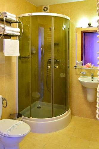 a bathroom with a shower and a toilet and a sink at Hotel Panorama Nowy Sącz in Nowy Sącz