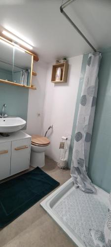 a bathroom with a sink and a shower curtain at EMA Cottage in Montjean