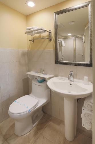 a bathroom with a toilet and a sink and a mirror at Fleur de Lis Beach Motel in Wildwood Crest