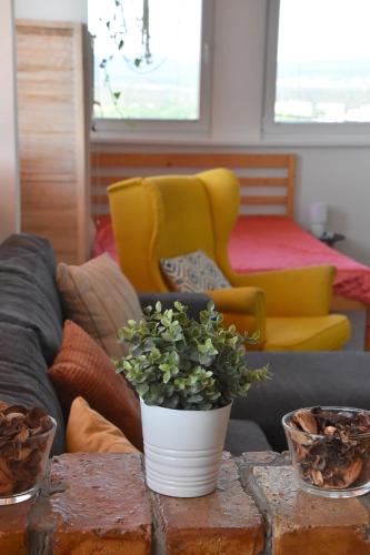 Panorama View Family Apartment