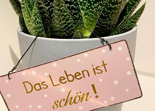 a sign in front of a plant in a vase at Ferienwohnung Fuldaufer in Melsungen