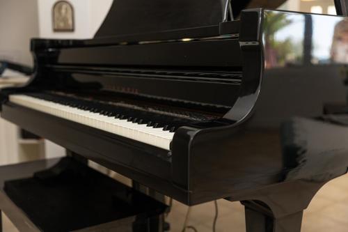 a black piano sitting on top of a table at Naxos Beach Front Villa ''Moments'' in Ambrami