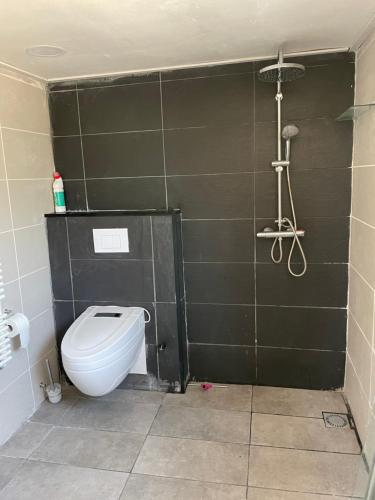 a bathroom with a toilet and a shower at The Horse Farm in Garnwerd