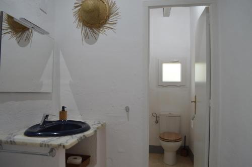 een badkamer met een wastafel en een toilet bij MASIA ESTORACH in L'Aldea