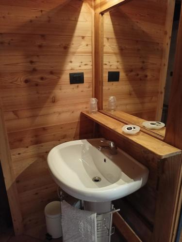 a bathroom with a white sink and a wooden wall at L'Alpina Affittacamere in Bobbio Pellice