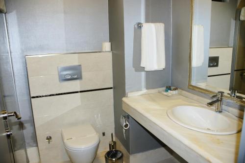 a bathroom with a sink and a toilet and a mirror at alfin otel in Ankara