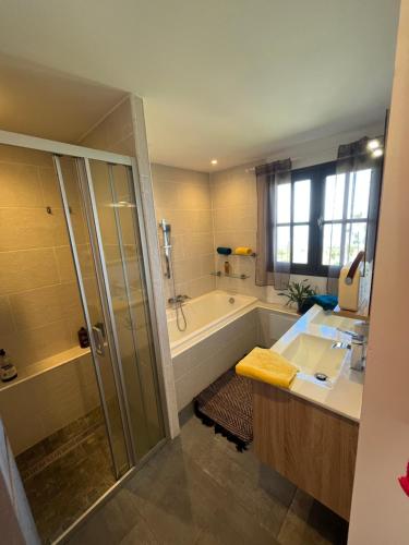 a bathroom with a tub and a shower and a sink at La maison des camélias in Le Tampon