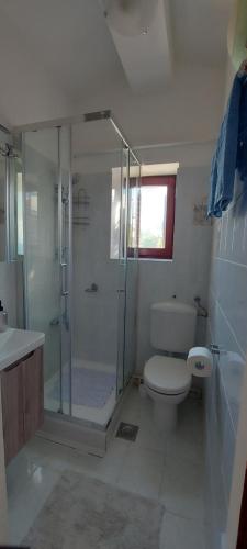 a bathroom with a shower and a toilet and a sink at Kuća Ugor in Lun