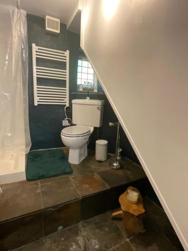 a bathroom with a toilet and a shower and a staircase at The Old Chapel Annexe in Helston