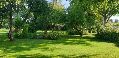 a green yard with trees and grass and flowers at Mājīga istaba ar balkonu un vannasistaba, bezmaksas velo noma in Iecava