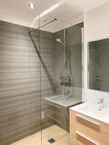 une salle de bain avec une douche en verre et un lavabo dans l'établissement L'idéal, à Saint-Étienne