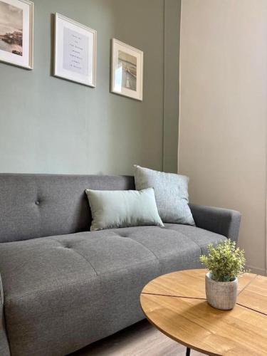 un salon avec un canapé gris et une table dans l'établissement L'idéal, à Saint-Étienne