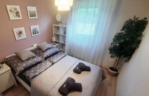 sala de estar con sofá y planta en Mediterrania Apartment en Keszthely