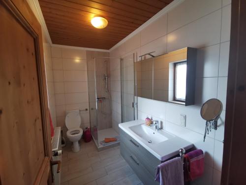 ein Bad mit einem Waschbecken und einem WC in der Unterkunft Haus Luise in Krün