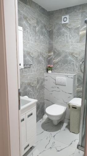 a bathroom with a toilet and a sink at Apartman 3 BMB in Veliko Gradište