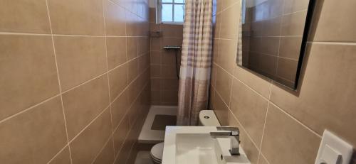 une salle de bain avec un lavabo, des toilettes et un miroir dans l'établissement Appartement à 2 pas des thermes, à Vals-les-Bains