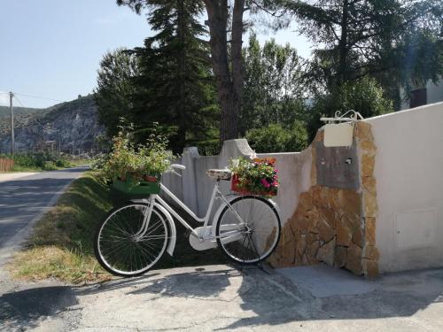 Jazda na bicykli v okolí ubytovania Villa Oasi