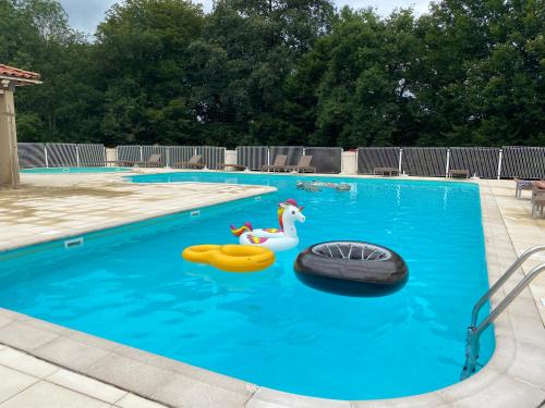 une piscine avec un canard jouet et deux objets gonflables dans l'établissement Le Lac Bleu 21, à Lacapelle-Marival