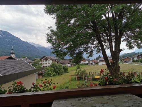 a view from a balcony of a field with a tree at Haus Luise in Krün