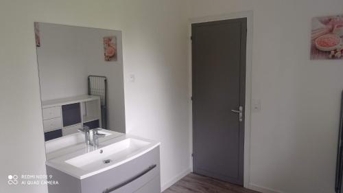 a white bathroom with a sink and a mirror at LA BELLA 12-Appartement rez de chaussée 90m² in Bordeaux-Saint-Clair