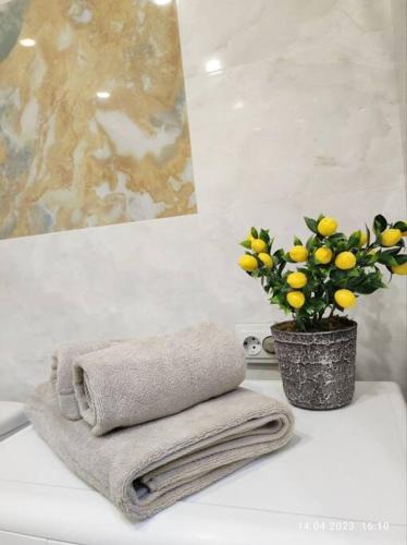a towel and a vase with a plant on a counter at Стильный уют в центре in Almaty