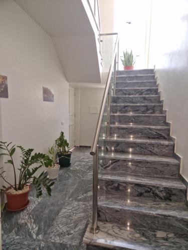 a staircase in a building with potted plants at Kaps Home - Tarrafal in Tarrafal