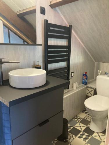 un baño con lavabo e inodoro en LE VICTORIA, en Besançon
