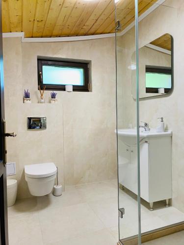 a bathroom with a toilet and a glass shower at Vila Tarnita in Cluj-Napoca