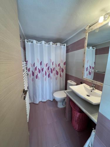 a bathroom with a toilet and a shower curtain at Maria's guesthouse in Batsi