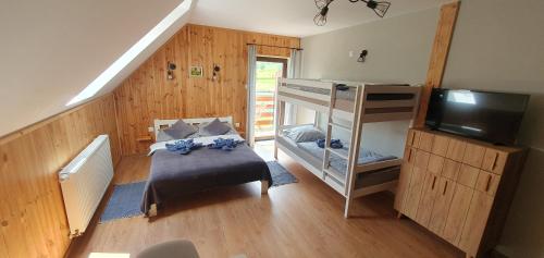 a bedroom with a bunk bed and a television at Pokoje Przy Polanie in Stronie Śląskie