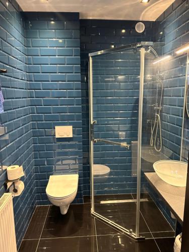 ein blaues Bad mit einem WC und einer Dusche in der Unterkunft Noclegi Apartamenty Amla 