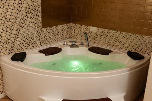 a bath tub filled with green water in a bathroom at Residenza Catullo in Verona