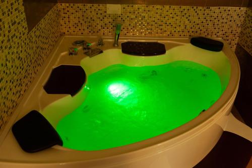 a green bath tub with a green liquid in it at Residenza Catullo in Verona