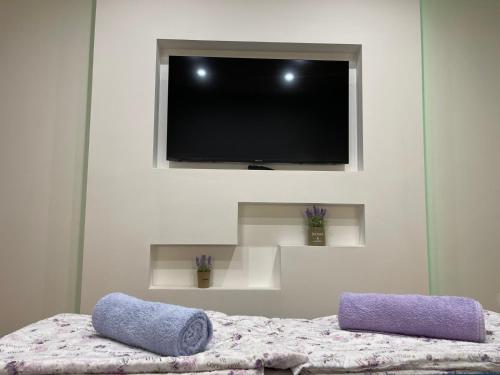 Televízia a/alebo spoločenská miestnosť v ubytovaní VMAKS Apartman Valentina Vodnika