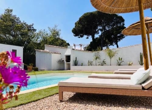 - une piscine avec 2 chaises longues et un parasol dans l'établissement La Villa les lauriers, 150 m de la mer, Grimaud, golfe de St Tropez, à Grimaud