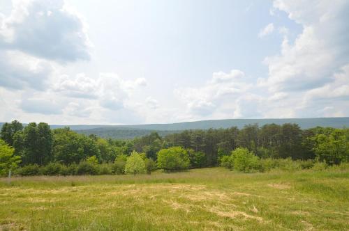 a field of grass with trees in the background at Black Bear Cabin - Fire Pit, Grill, View, Pet Friendly, Fireplace, King Bed, Wifi, Game Room in Morton Grove